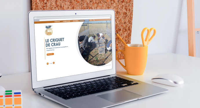 Le Criquet de Crau - Visuel site web