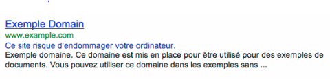 Exemple résultat google