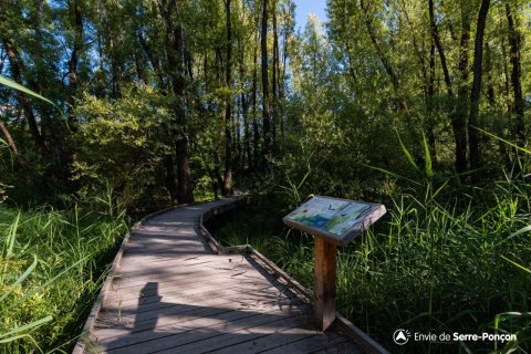 photo pilotis sentier du Liou 