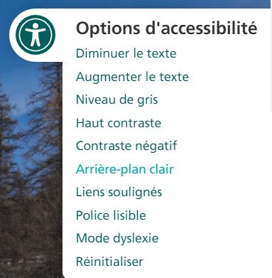 Module accessibilité Drupal Websenso